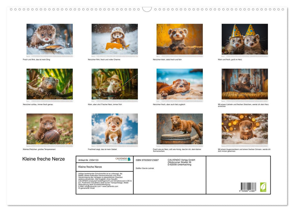 Kleine freche Nerze (CALVENDO Wandkalender 2027)