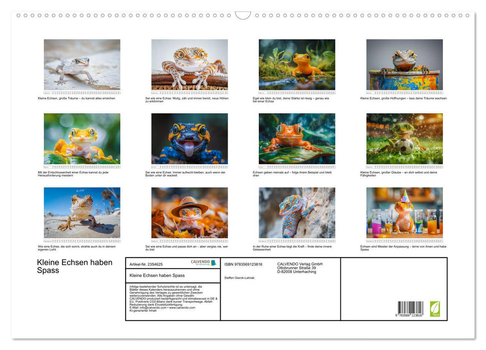 Kleine Echsen haben Spass (CALVENDO Wandkalender 2027)