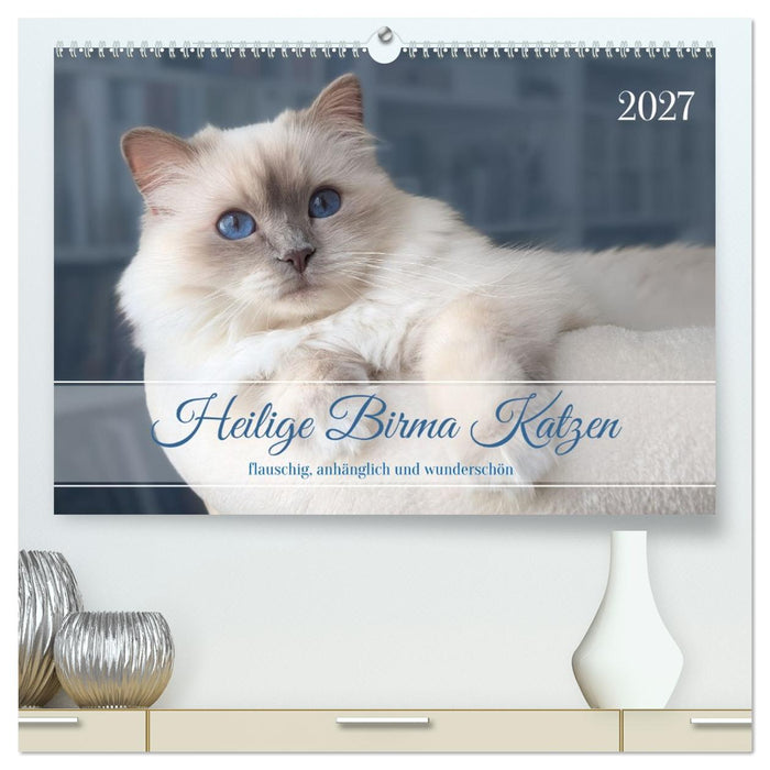 Heilige Birma Katzen - flauschig, anhänglich und wunderschön (CALVENDO Premium Wandkalender 2027)