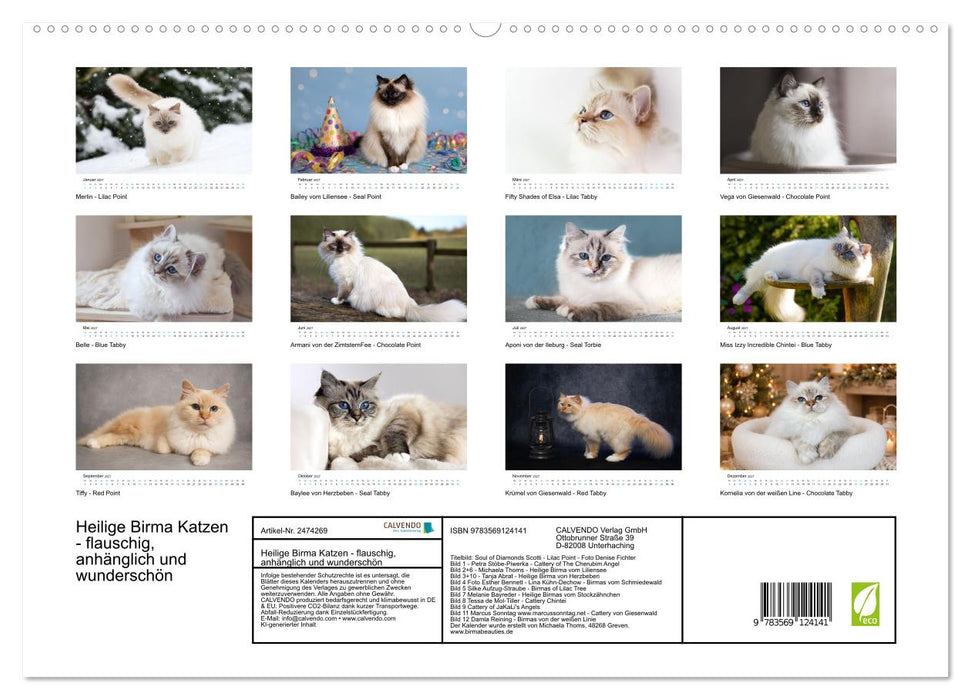 Heilige Birma Katzen - flauschig, anhänglich und wunderschön (CALVENDO Premium Wandkalender 2027)