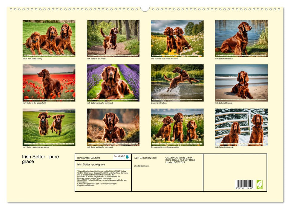 Irish Setter - pure grace (CALVENDO Monthly Calendar 2027)