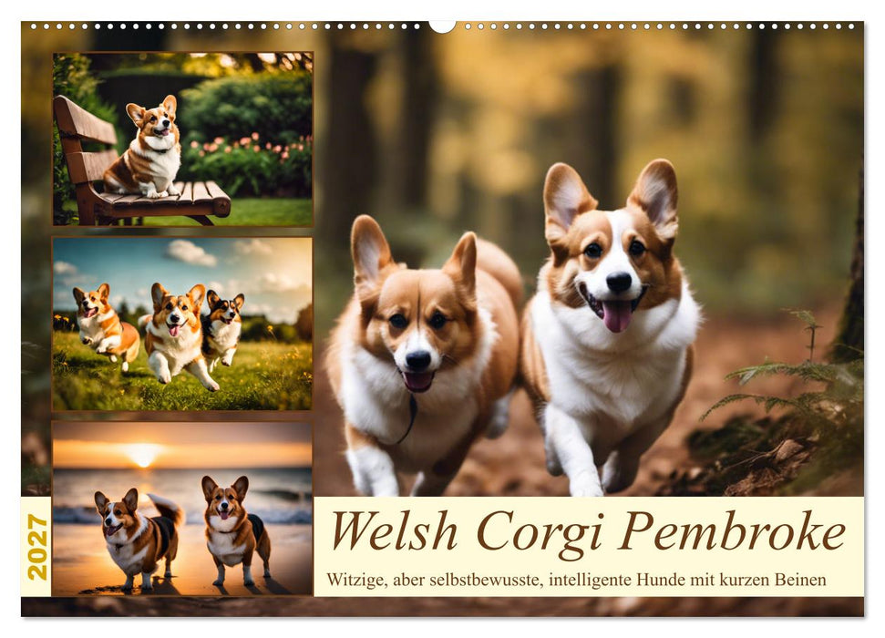 Welsh Corgi Pembroke (CALVENDO Wandkalender 2027)