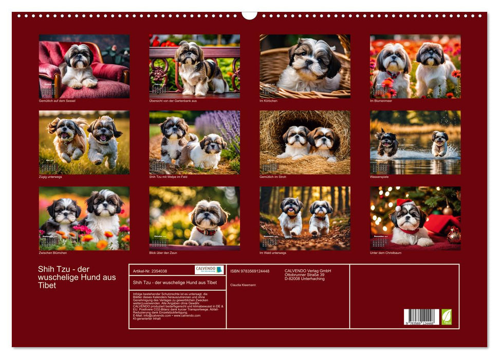 Shih Tzu - der wuschelige Hund aus Tibet (CALVENDO Wandkalender 2027)