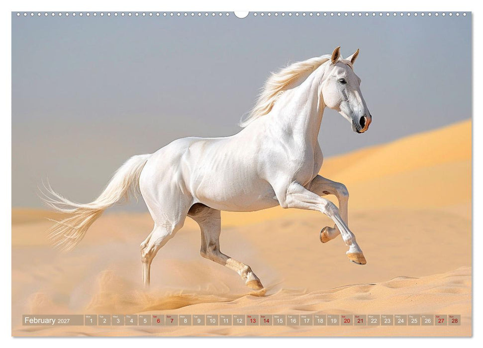 White Horses in Splendor (CALVENDO Monthly Calendar 2027)