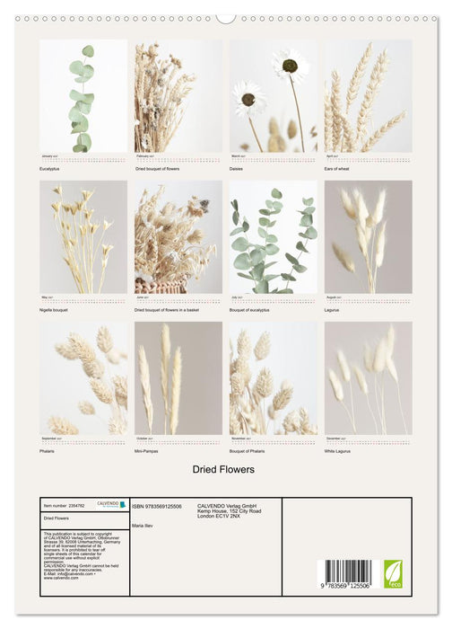 Dried Flowers (CALVENDO Premium-Calendar 2027)
