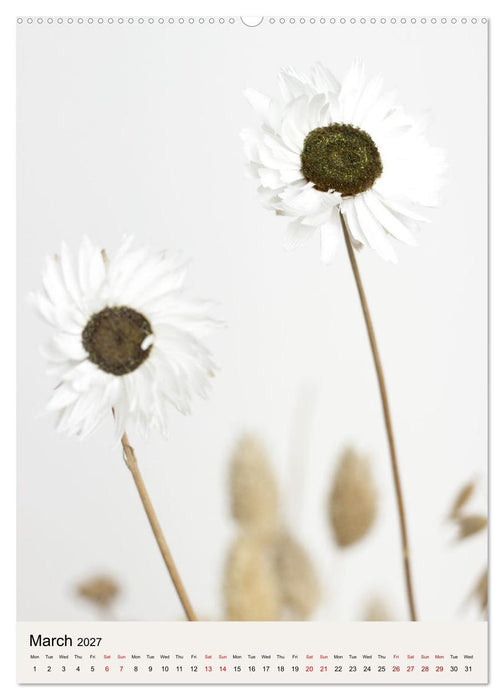 Dried Flowers (CALVENDO Premium-Calendar 2027)