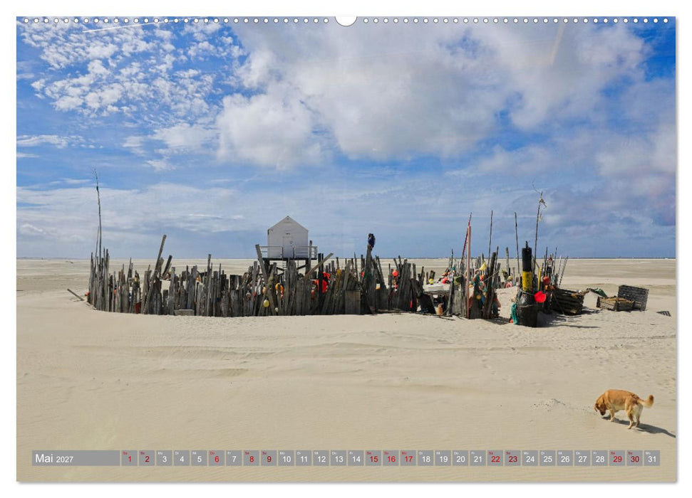Vlieland Perle an der Nordsee (CALVENDO Premium Wandkalender 2027)