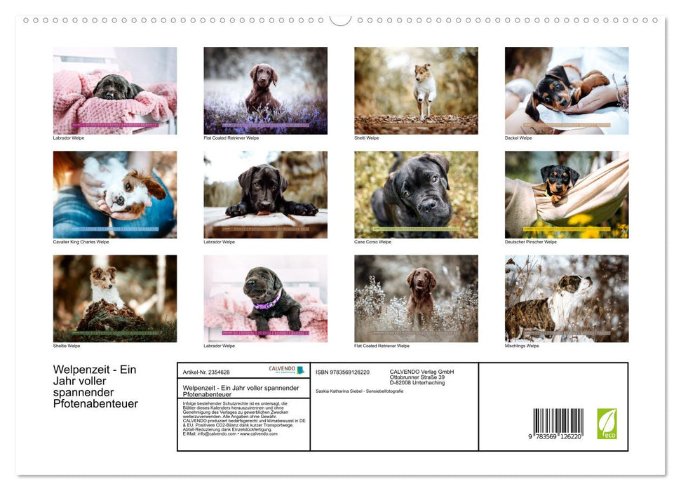 Welpenzeit - Ein Jahr voller spannender Pfotenabenteuer (CALVENDO Premium Wandkalender 2027)