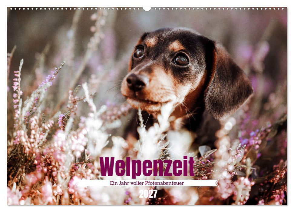 Welpenzeit - Ein Jahr voller spannender Pfotenabenteuer (CALVENDO Wandkalender 2027)