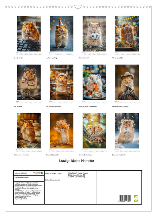 Lustige kleine Hamster (CALVENDO Wandkalender 2027)