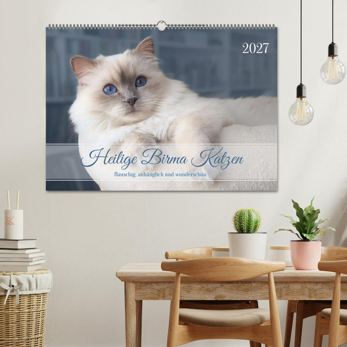 Heilige Birma Katzen - flauschig, anhänglich und wunderschön (CALVENDO Wandkalender 2027)
