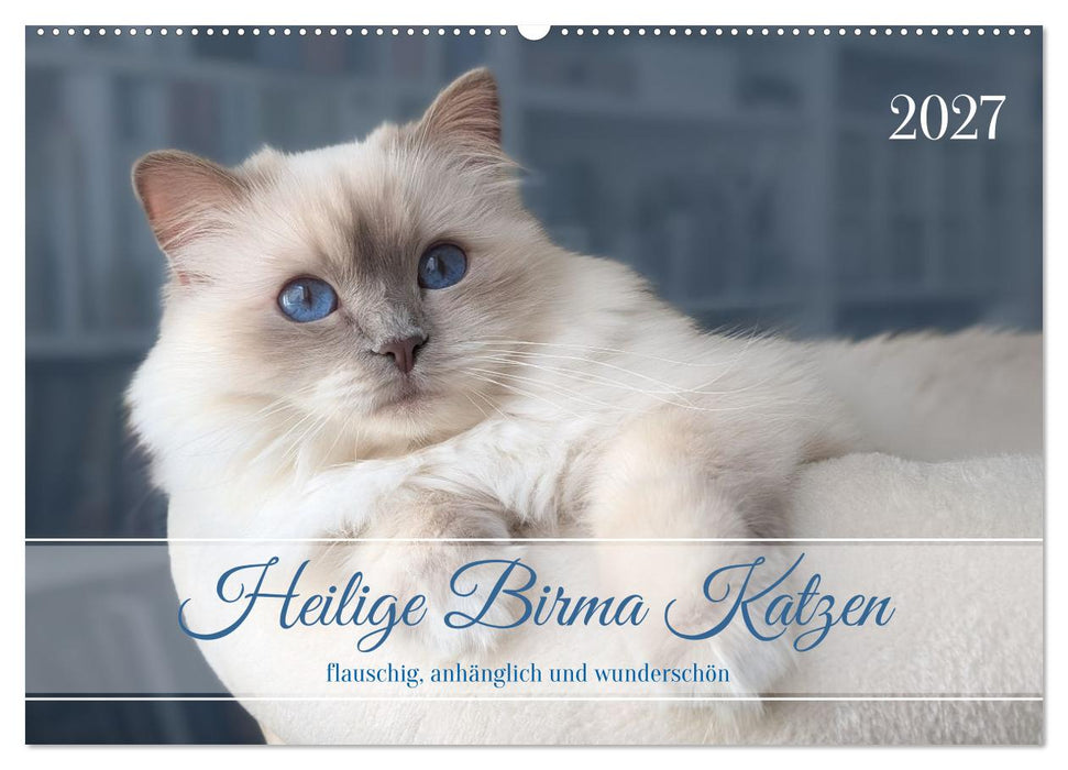 Heilige Birma Katzen - flauschig, anhänglich und wunderschön (CALVENDO Wandkalender 2027)
