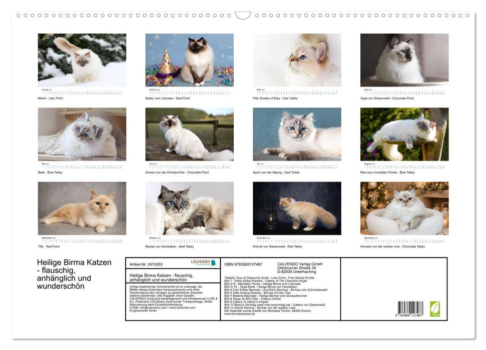 Heilige Birma Katzen - flauschig, anhänglich und wunderschön (CALVENDO Wandkalender 2027)