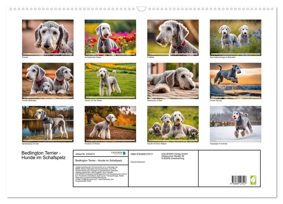 Bedlington Terrier - Hunde im Schafspelz (CALVENDO Wandkalender 2027)