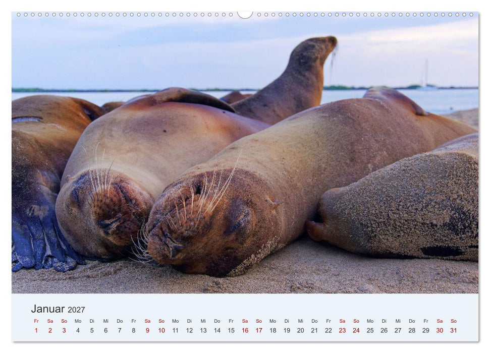 Entdecke Galapagos (CALVENDO Wandkalender 2027)