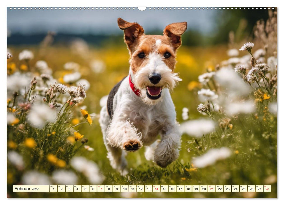 Drahthaar-Foxterrier (CALVENDO Premium Wandkalender 2027)