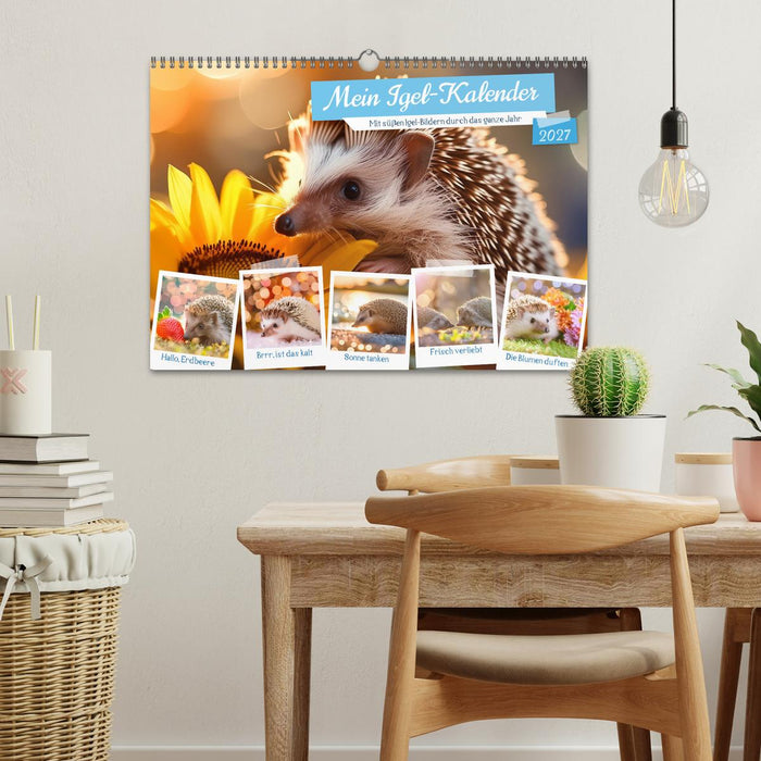 Mein Igel-Kalender (CALVENDO Wandkalender 2027)