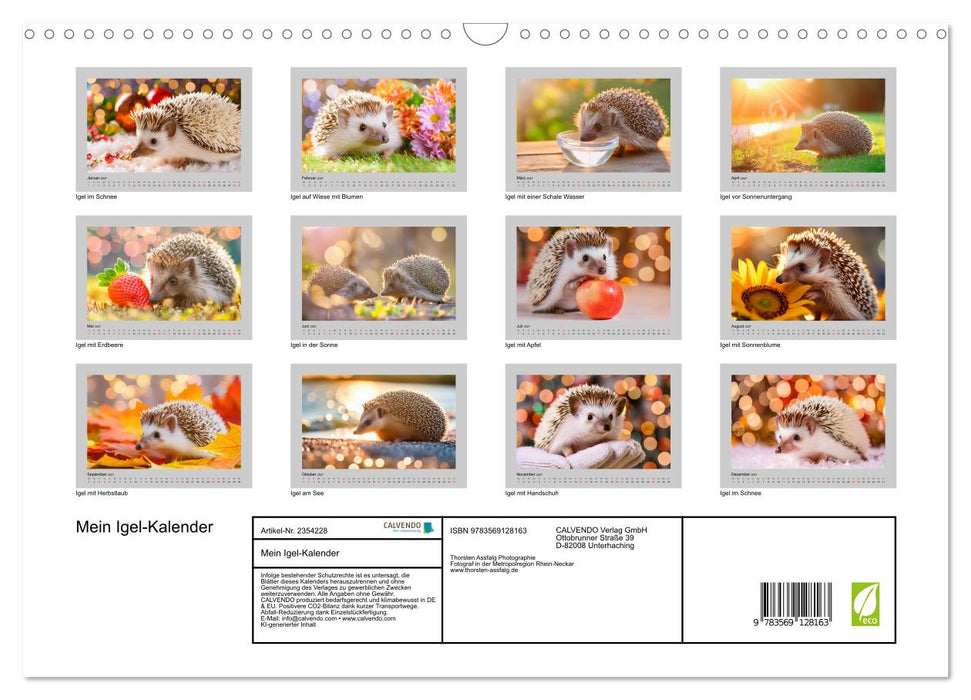 Mein Igel-Kalender (CALVENDO Wandkalender 2027)