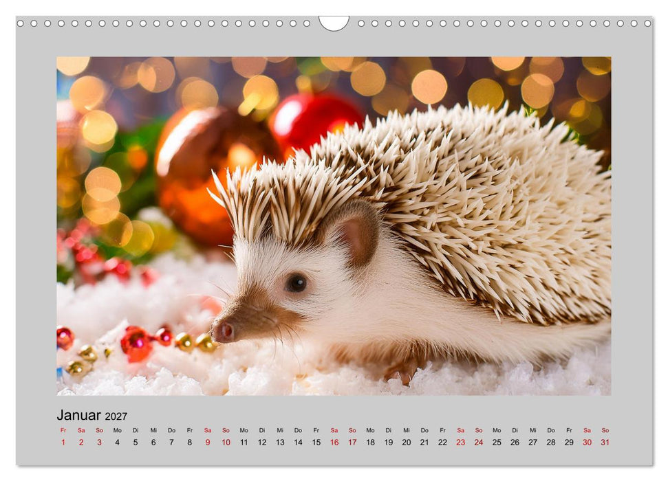 Mein Igel-Kalender (CALVENDO Wandkalender 2027)
