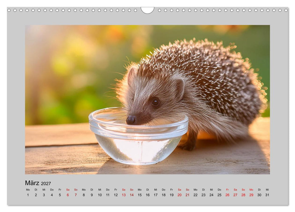 Mein Igel-Kalender (CALVENDO Wandkalender 2027)