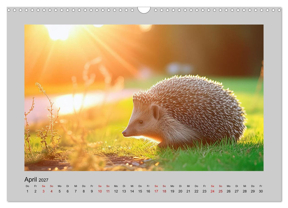 Mein Igel-Kalender (CALVENDO Wandkalender 2027)