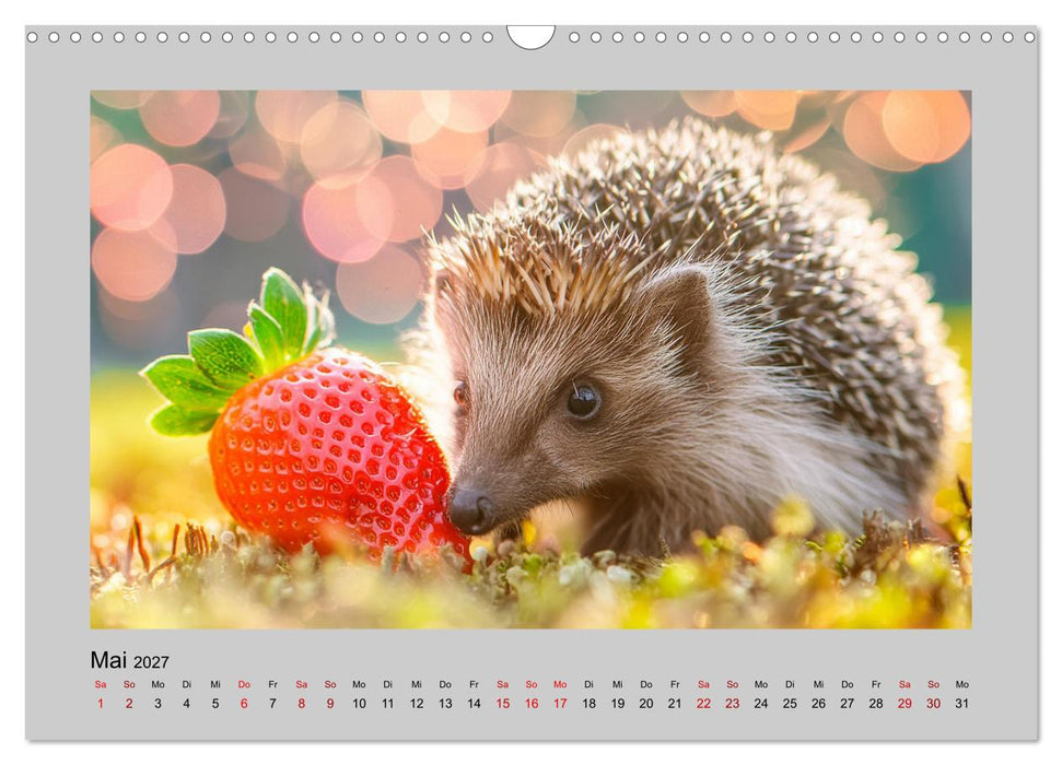 Mein Igel-Kalender (CALVENDO Wandkalender 2027)