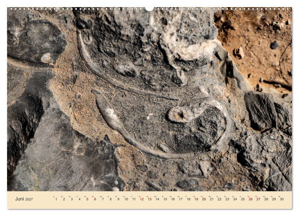 Musandam - Die omanische Exklave im geheimnisvollen Orient (CALVENDO Wandkalender 2027)