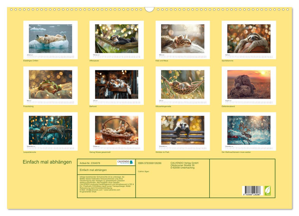 Einfach mal abhängen (CALVENDO Wandkalender 2027)