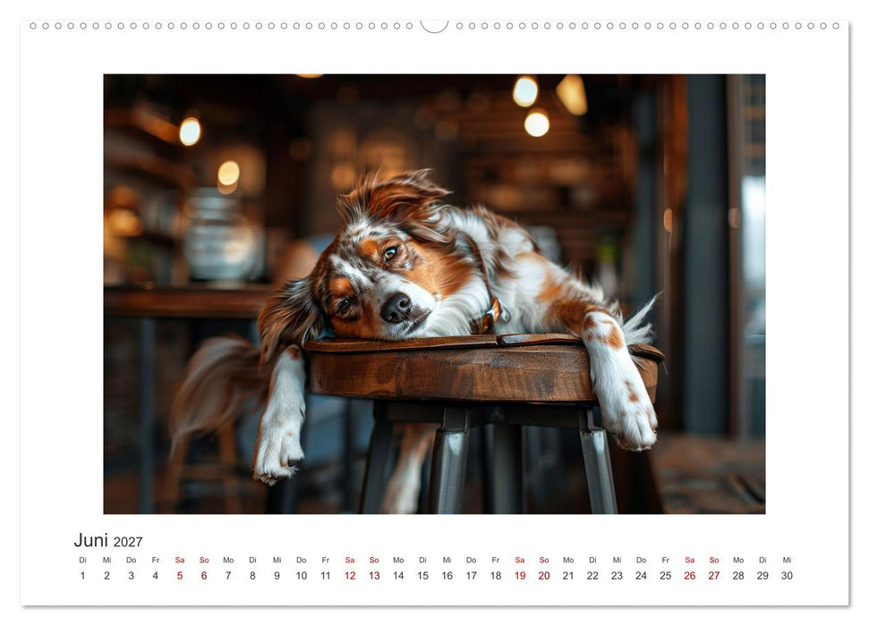 Einfach mal abhängen (CALVENDO Wandkalender 2027)