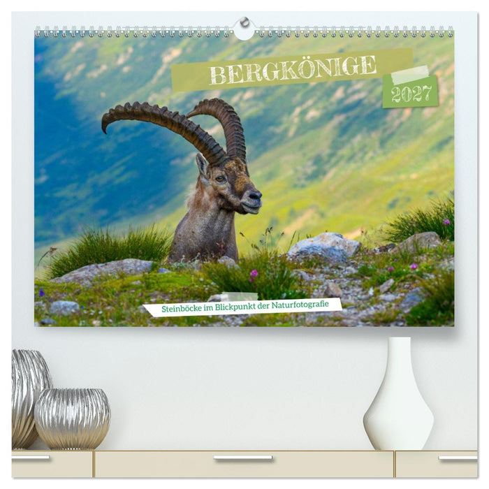 Bergkönige - Steinböcke im Blickpunkt der Naturfotografie (CALVENDO Premium Wandkalender 2027)