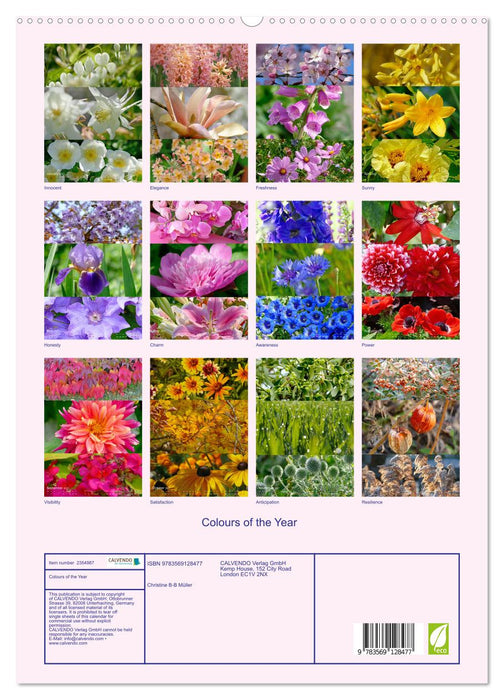 Colours of the Year (CALVENDO Premium-Calendar 2027)