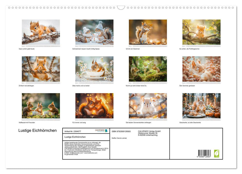 Lustige Eichhörnchen (CALVENDO Wandkalender 2027)