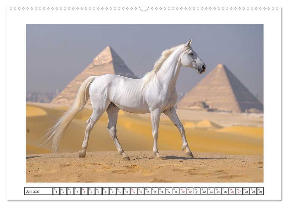 Bezaubernde Eleganz weißer Pferde (CALVENDO Premium Wandkalender 2027)