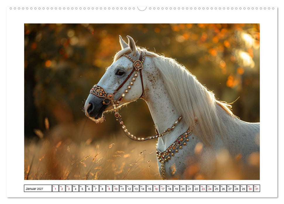 Bezaubernde Eleganz weißer Pferde (CALVENDO Wandkalender 2027)