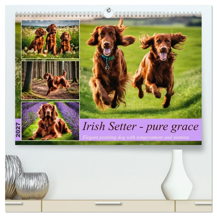 Irish Setter - pure grace (CALVENDO Premium-Calendar 2027)