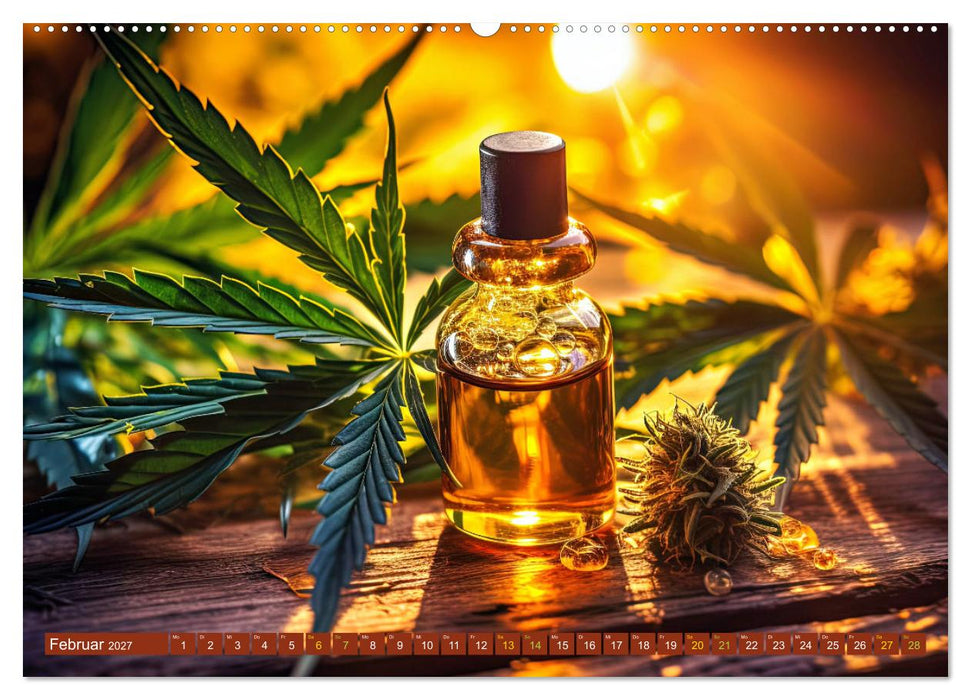 Faszination Cannabis (CALVENDO Premium Wandkalender 2027)