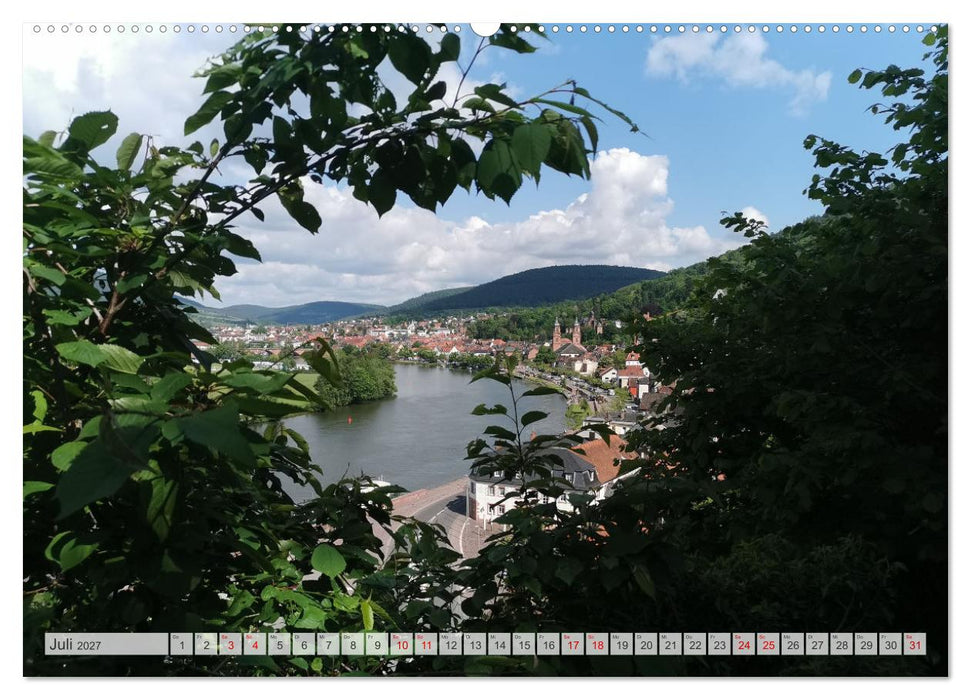 Miltenberg neu entdeckt (CALVENDO Premium Wandkalender 2027)
