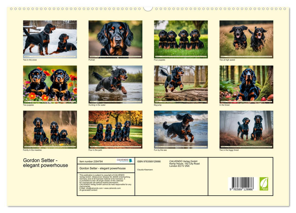Gordon Setter - elegant powerhouse (CALVENDO Premium-Calendar 2027)