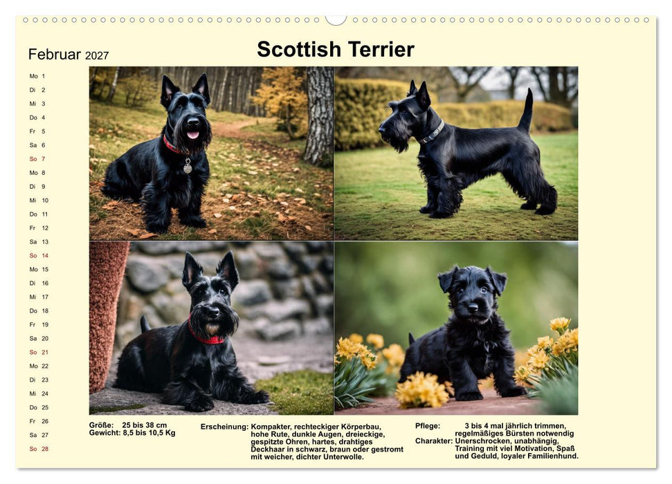 Terrier-Rassen im Portrait (CALVENDO Wandkalender 2027)