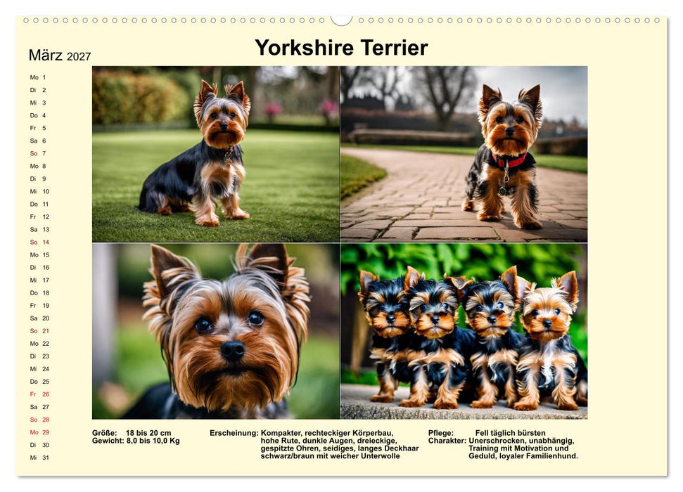 Terrier-Rassen im Portrait (CALVENDO Wandkalender 2027)