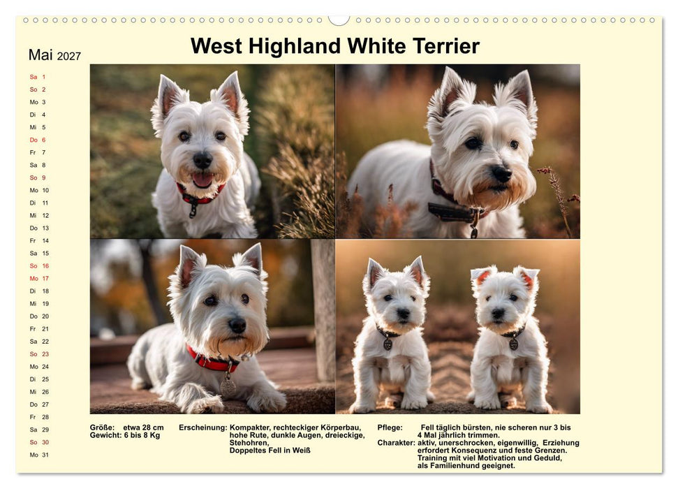 Terrier-Rassen im Portrait (CALVENDO Wandkalender 2027)