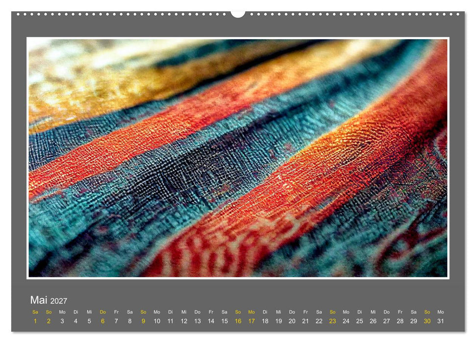 Strukturvisionen (CALVENDO Wandkalender 2027)