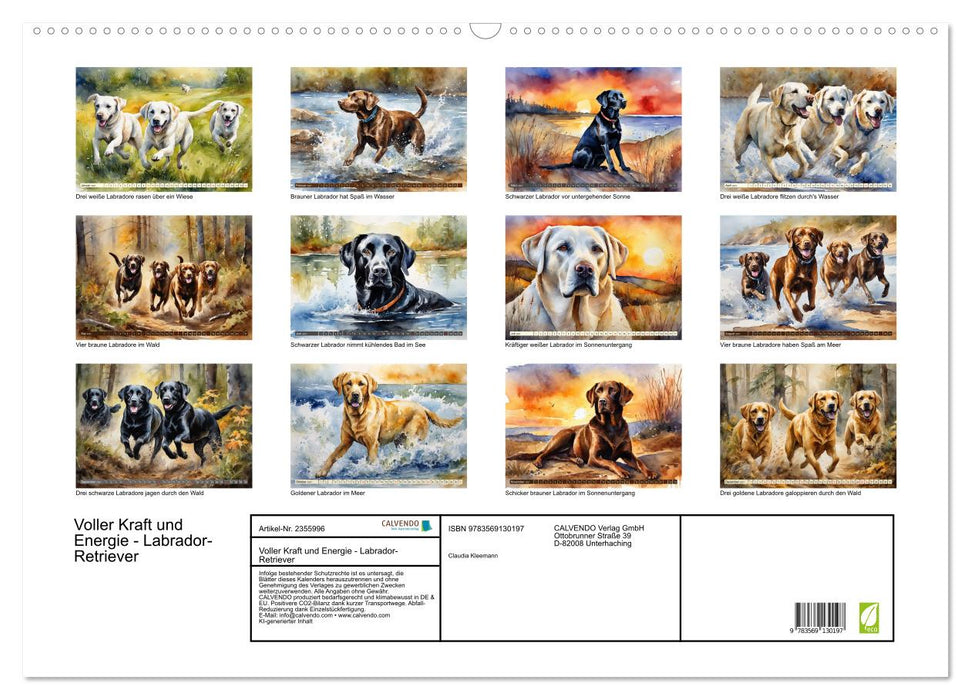 Voller Kraft und Energie - Labrador-Retriever (CALVENDO Wandkalender 2027)