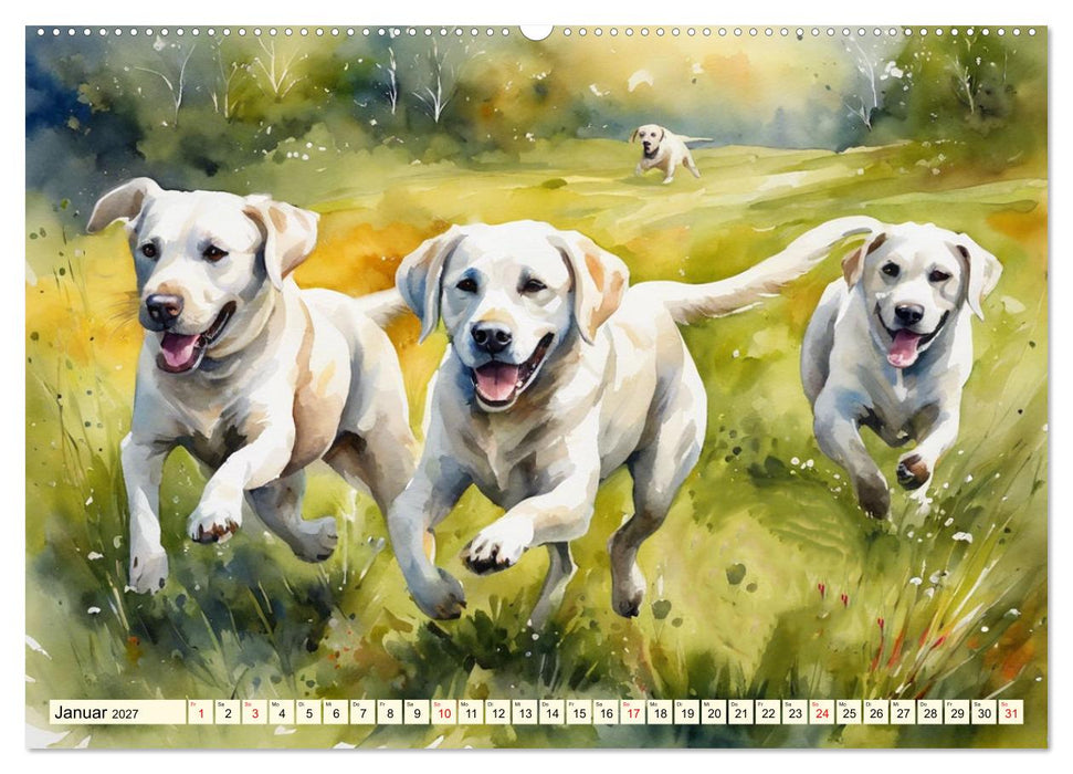 Voller Kraft und Energie - Labrador-Retriever (CALVENDO Wandkalender 2027)