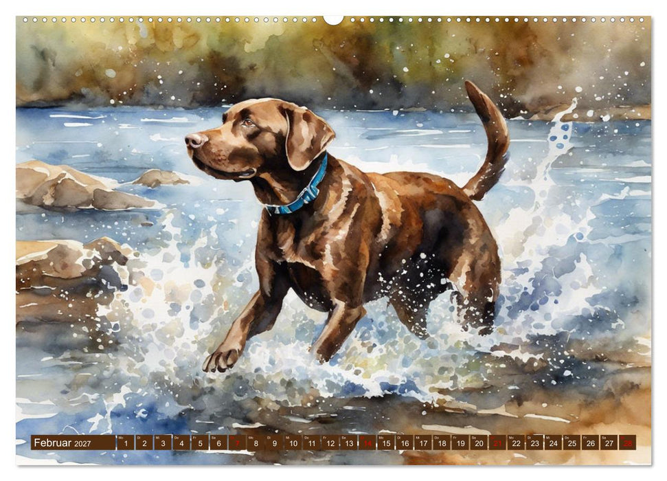 Voller Kraft und Energie - Labrador-Retriever (CALVENDO Wandkalender 2027)