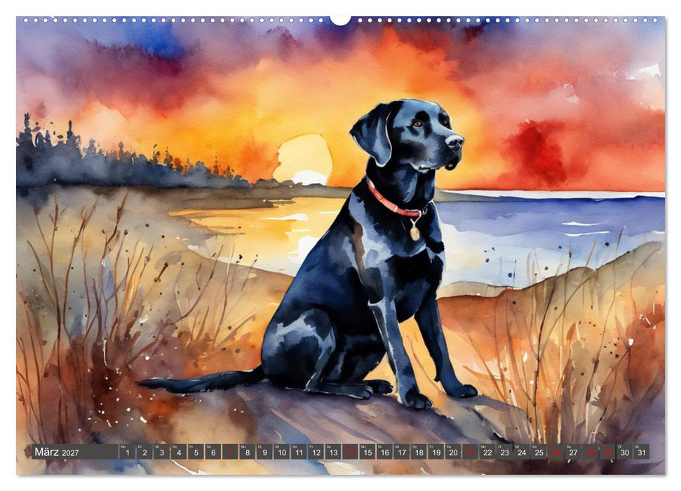 Voller Kraft und Energie - Labrador-Retriever (CALVENDO Wandkalender 2027)