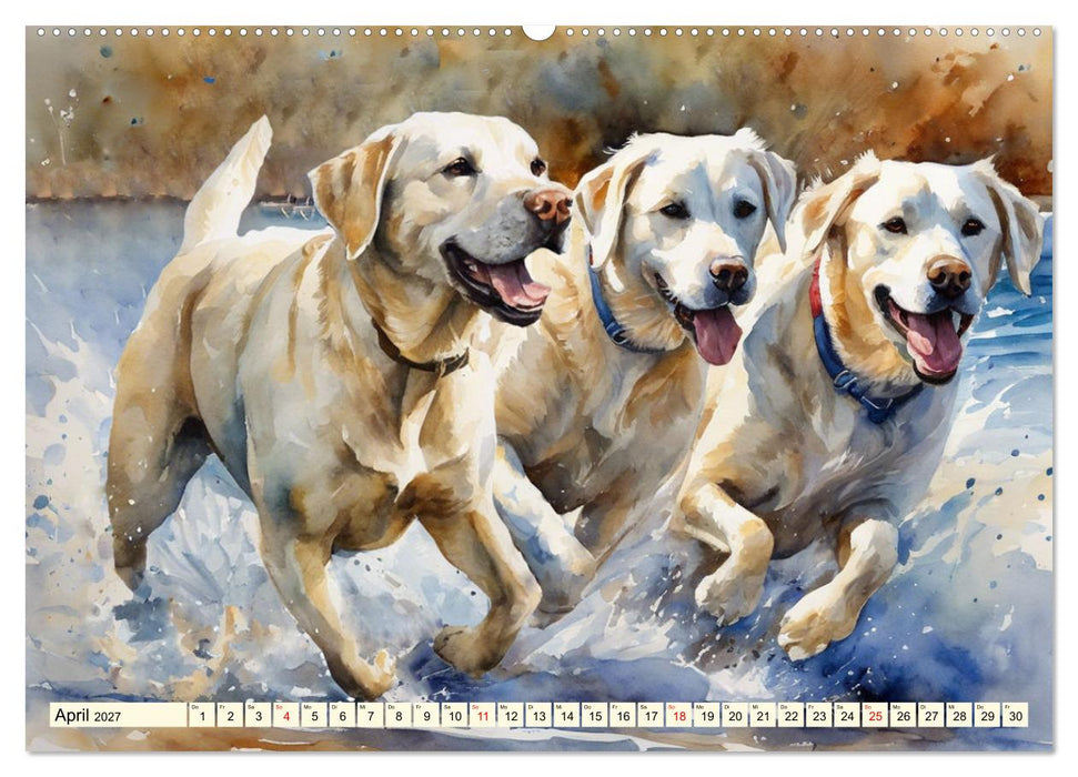 Voller Kraft und Energie - Labrador-Retriever (CALVENDO Wandkalender 2027)