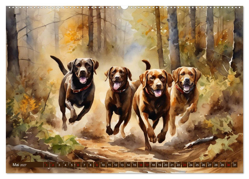 Voller Kraft und Energie - Labrador-Retriever (CALVENDO Wandkalender 2027)