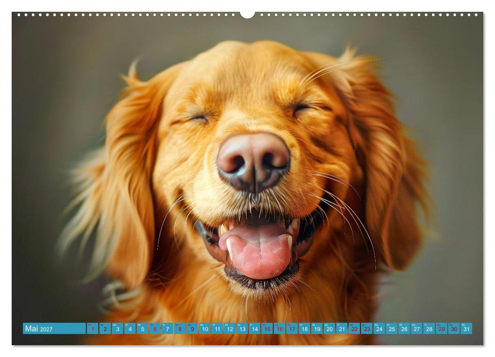 Lächelnde Hunde sind wie Sonnenschein auf vier Pfoten (CALVENDO Wandkalender 2027)