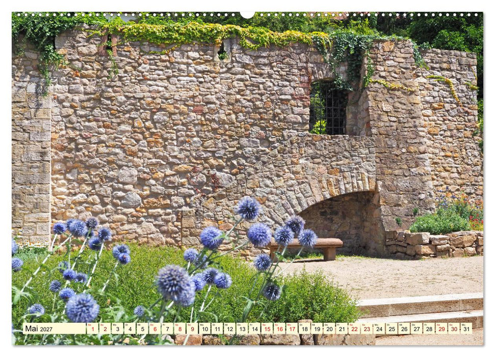 Heppenheim - Weinstadt unter der Starkenburg (CALVENDO Premium Wandkalender 2027)